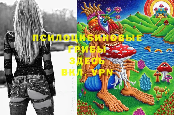 ГАЛЛЮЦИНОГЕННЫЕ ГРИБЫ Беломорск